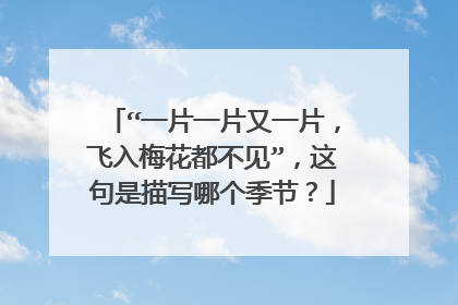 “一片一片又一片，飞入梅花都不见”，这句是描写哪个季节？