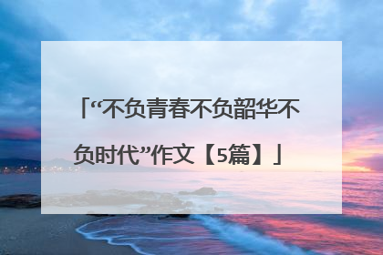 “不负青春不负韶华不负时代”作文【5篇】