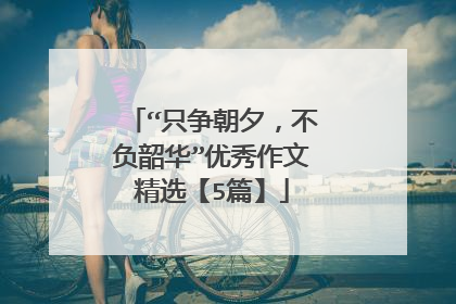 “只争朝夕,不负韶华”优秀作文精选【5篇】