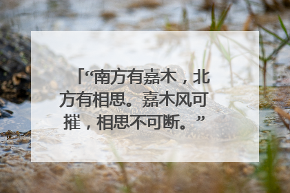 “南方有嘉木，北方有相思。嘉木风可摧，相思不可断。”出自哪首诗？
