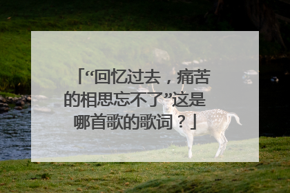 “回忆过去，痛苦的相思忘不了”这是哪首歌的歌词？