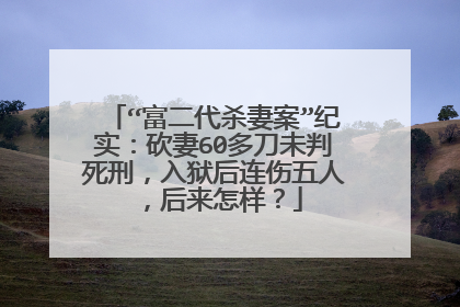“富二代杀妻案”纪实：砍妻60多刀未判死刑，入狱后连伤五人，后来怎样？