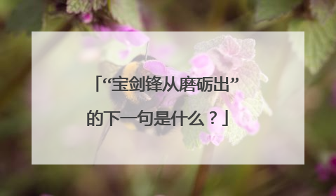 “宝剑锋从磨砺出”的下一句是什么?