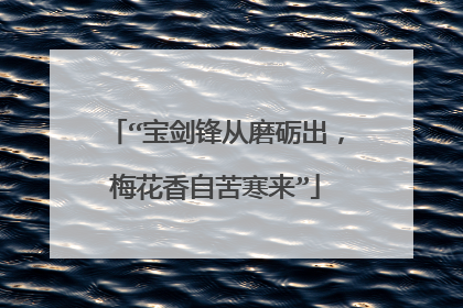 “宝剑锋从磨砺出,梅花香自苦寒来”