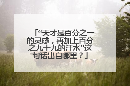 “天才是百分之一的灵感,再加上百分之九十九的汗水”这句话出自哪里?