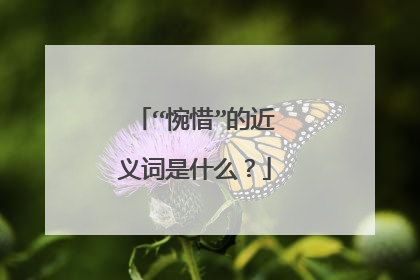 “惋惜”的近义词是什么？