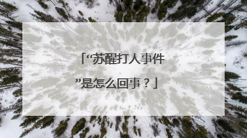 “苏醒打人事件”是怎么回事？