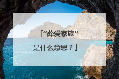 “葬爱家族”是什么意思？