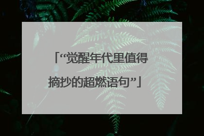 “觉醒年代里值得摘抄的超燃语句”