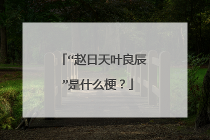 “赵日天叶良辰”是什么梗?