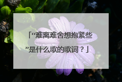 “难离难舍想抱紧些”是什么歌的歌词？