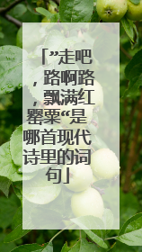 ”走吧，路啊路，飘满红罂粟“是哪首现代诗里的词句