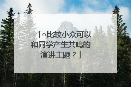 ○比较小众可以和同学产生共鸣的演讲主题?