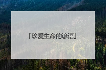 珍爱生命的谚语