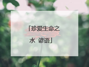 珍爱生命之水 谚语