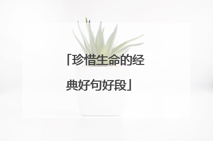 珍惜生命的经典好句好段