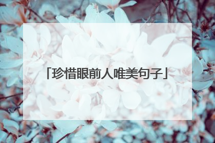 珍惜眼前人唯美句子