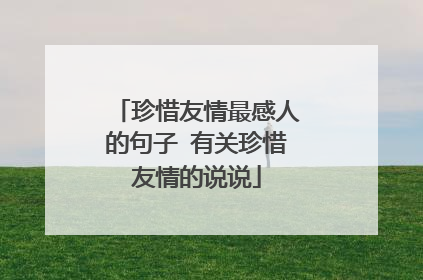 珍惜友情最感人的句子 有关珍惜友情的说说