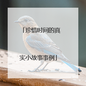 珍惜时间的真实小故事事例