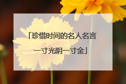 珍惜时间的名人名言 一寸光阴一寸金