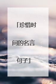 珍惜时间的名言句子