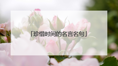 珍惜时间的名言名句