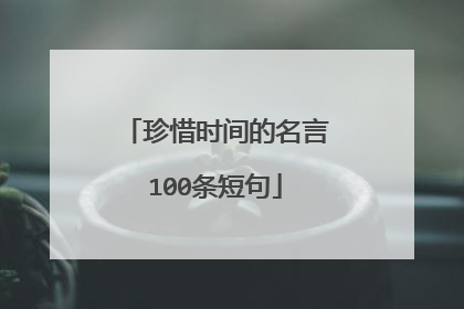 珍惜时间的名言100条短句