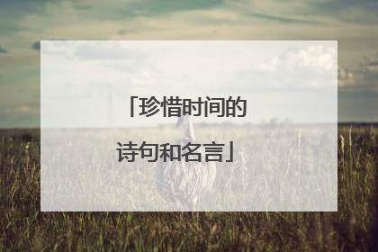 珍惜时间的诗句和名言