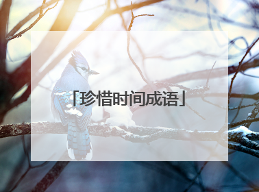 珍惜时间成语