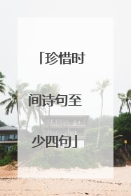 珍惜时间诗句至少四句