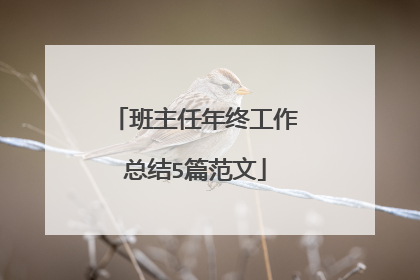 班主任年终工作总结5篇范文