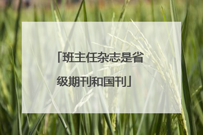 班主任杂志是省级期刊和国刊