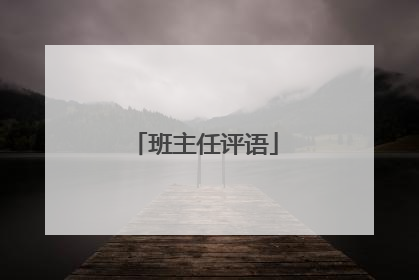 班主任评语