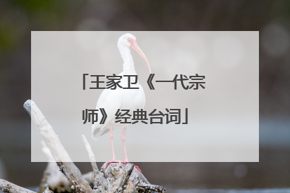 王家卫《一代宗师》经典台词