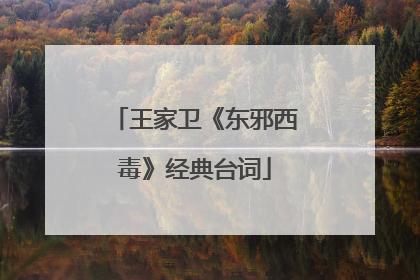 王家卫《东邪西毒》经典台词