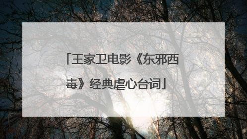 王家卫电影《东邪西毒》经典虐心台词