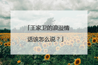 王家卫的浪漫情话该怎么说？