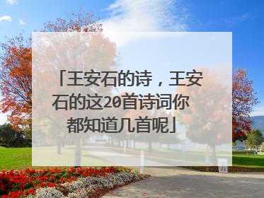 王安石的诗，王安石的这20首诗词你都知道几首呢