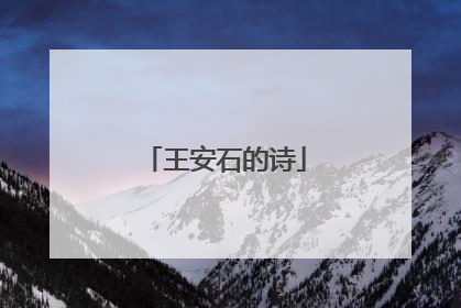 王安石的诗
