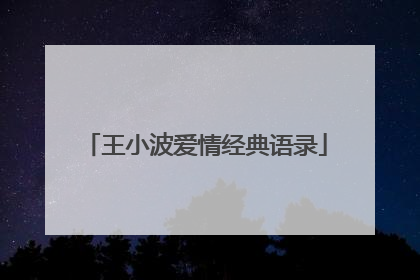 王小波爱情经典语录