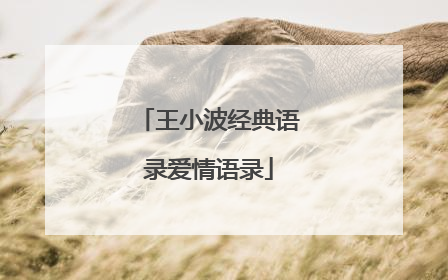 王小波经典语录爱情语录