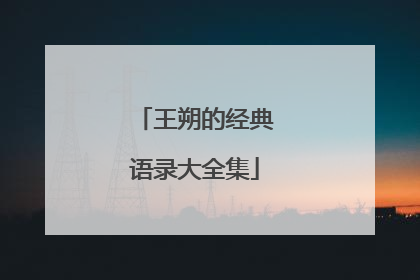王朔的经典语录大全集