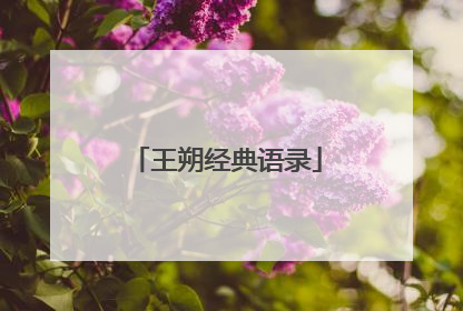 王朔经典语录