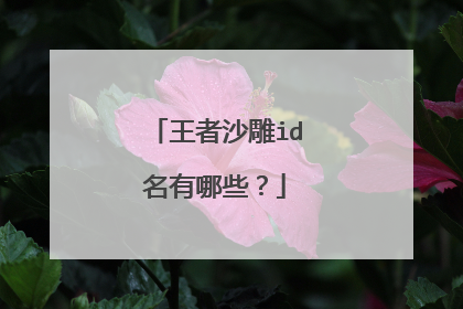 王者沙雕id名有哪些？