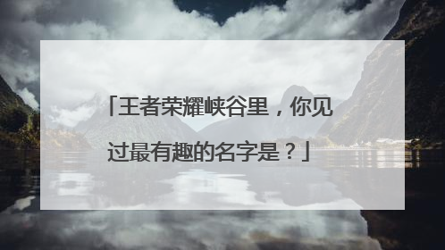 王者荣耀峡谷里，你见过最有趣的名字是？