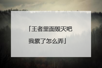 王者里面毁灭吧我累了怎么弄