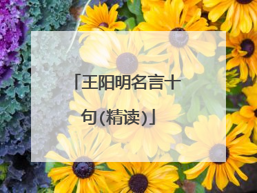 王阳明名言十句(精读)
