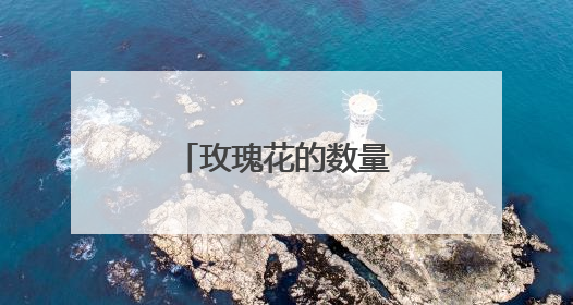 玫瑰花的数量代表什么？
