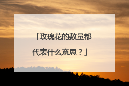 玫瑰花的数量都代表什么意思？