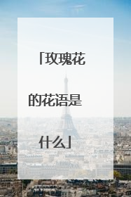 玫瑰花的花语是什么